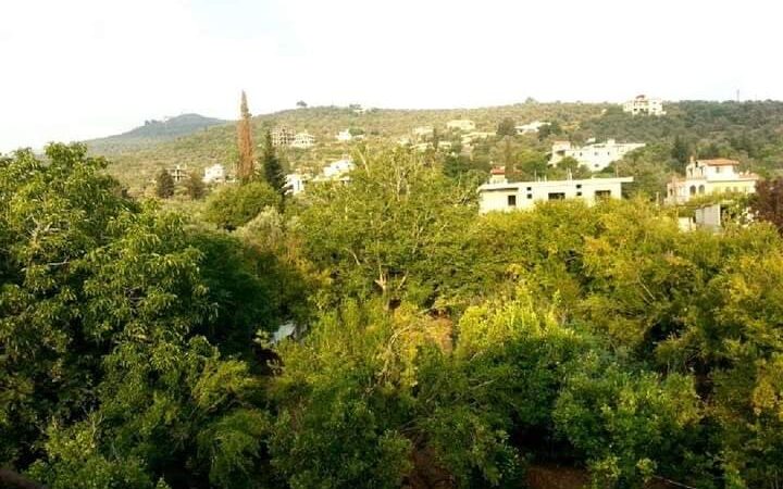 Tannourine village