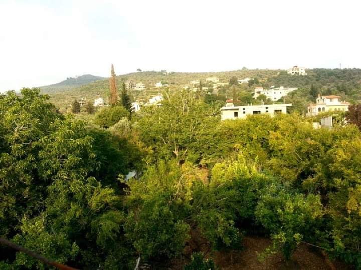 Tannourine village